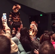 Rumple Morgan Mungo Mahoney Crowd UK18.jpg (745 KB) Billy Mahoney as Mungojerrie and Noaimh Morgan as Rumpleteazer, International Tour 2018