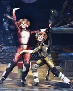 Bombalurina, Asia Tour 2020