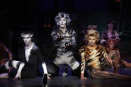 Jellicle Songs
