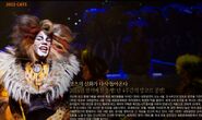 Rum Tum Tugger