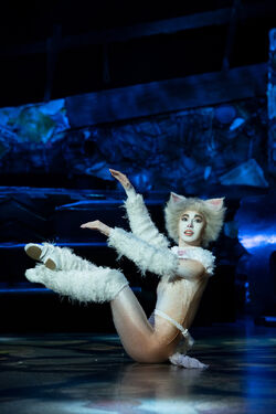 Asia Tour 2022-2023, 'Cats' Musical Wiki