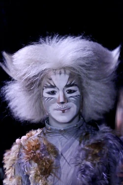 Rarmian Newton Cats Musical Wiki Fandom