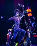 Exotica Aurora 2025.jpg (179 KB) Exotica