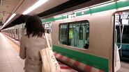 Skimbleshanks- The Railway Cat at Ōimachi Train Station