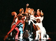 Rum Tum Tugger