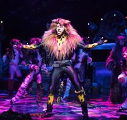 Tugger Will Richardson Asia 2017.jpg (75 KB)