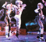 NAP 7 Jellicle Ball Toronto Brochure 1