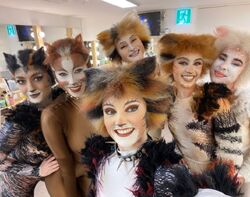 Asia Tour 2022-2023, 'Cats' Musical Wiki