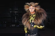 RTT Richardson Taipei BS Asia Tour 2020.jpg (425 KB) Rum Tum Tugger, Asia Tour 2020