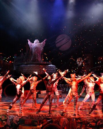 Ad Dressing Of Cats Cats Musical Wiki Fandom