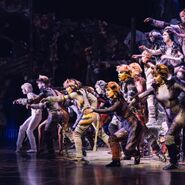 Pyramid Bway 2017.jpg (178 KB) Jellicle Songs