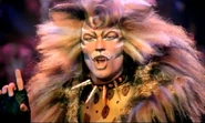 Rum Tum Tugger