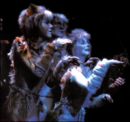 Kittens 1 US2.png (751 KB)