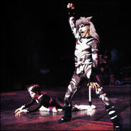 Munkustrap Oslo 85 01.jpg (349 KB)