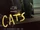 Macavity/2019 Movie Macavity