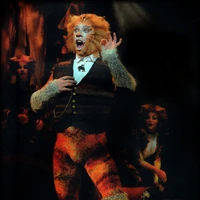 Skimbleshanks The Railway Cat Cats Musical Wiki Fandom Click to see the original lyrics. skimbleshanks the railway cat cats