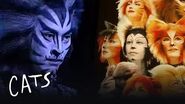 Cats goes to Japan - Japan Cats the Musical