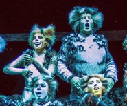 Jellylorum, RCCL Cast 3