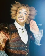 Skimbleshanks, Asia Tour 2020