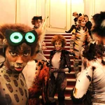 Overture Cats Musical Wiki Fandom Elizaldetolentino #philippinephilharmonicorchestra #upcollegeofmusic overture from andrew lloyd weber's cats. overture cats musical wiki fandom