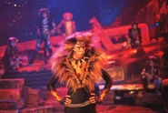 Rum Tum Tugger