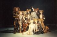 Rum Tum Tugger