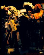 Pollicles os83 28.jpg (166 KB)