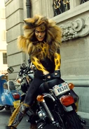 Rum Tum Tugger, 1991