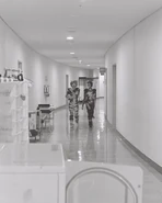 Dominique Hamilton and Anina Pletscher