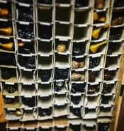 Shoes Bway Rev 2016.jpg (85 KB) Ensemble shoes