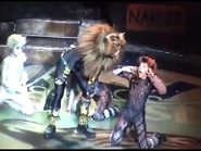 Electra (cover), Dutch Tour 2007