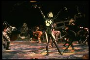 Rumpus cat ken ard broadway 1982