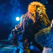 Macavity Daniel Gaymon Bway16 03.jpg (118 KB) Macavity kidnaps Old Deuteronomy
