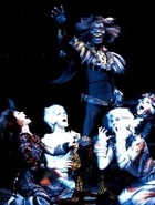 Rum Tum Tugger, London 1998