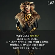 Rum Tum Tugger Will Richardson.jpg (390 KB)