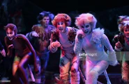 Jellicle Songs Paris 15 1.jpg (295 KB)