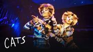 Mungojerrie and Rumpelteazer Cats the Musical