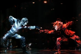 Macavity Fight UK 2016 14