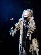 Erin Cornell as Grizabella