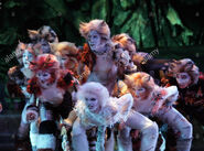 Jellicle Songs US 5 2009 11 Colombia 1