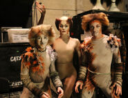 Bill Cass Admetus Aus15.jpg (92 KB) Australia/New Zealand tour 2015