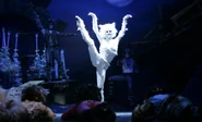 Madach 2013 White Cat.jpg (54 KB) White Cat Solo