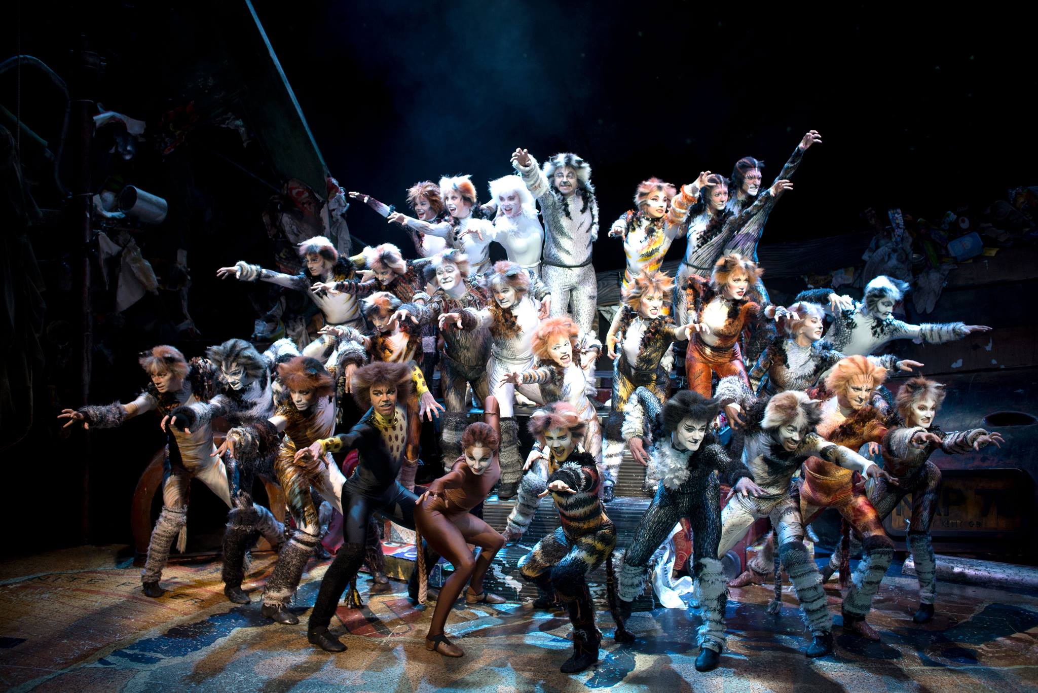 Jellicle Cats Cats Musical Wiki Fandom