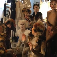 Group Queens Broadway 2016 Backstage.jpg (607 KB)