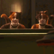 Mungo and Rumple cats movie 2019