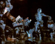 Pekes Pollicles 2 US2.png (716 KB)