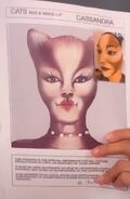 2022 John Napier makeup chart
