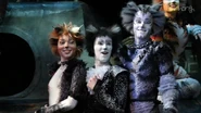 As Munkustrap, with Mistoffelees (Xavier Pellin) and Jemima (Holly Willock), Asia Tour 2020