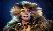 Rum Tum Tugger