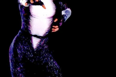 Mungojerrie and Rumpleteazer/Japanese | 'Cats' Musical Wiki | Fandom